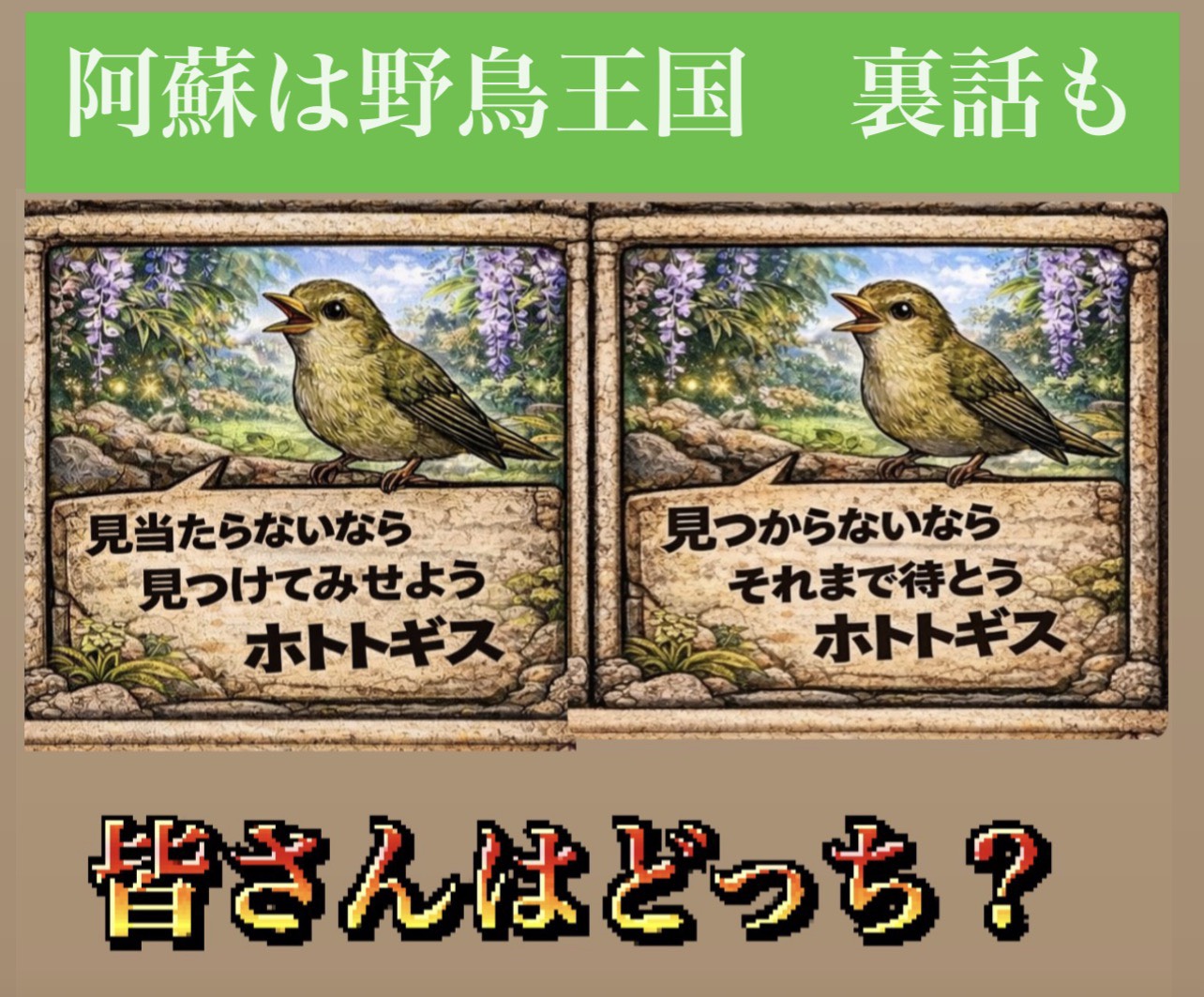 ガンダーラ阿蘇の風景2